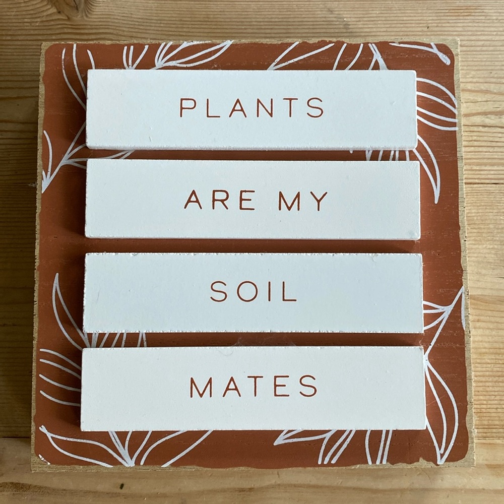 Plant wall art decor